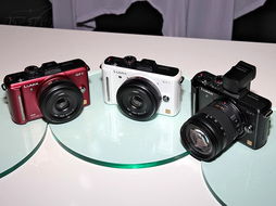 松下gf1數碼相機產品圖片29素材 it168數碼相機圖片大全