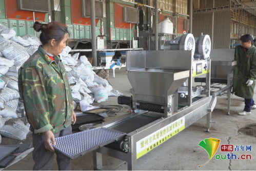 南昌新建區 育秧工廠播種忙，機械育秧助春耕